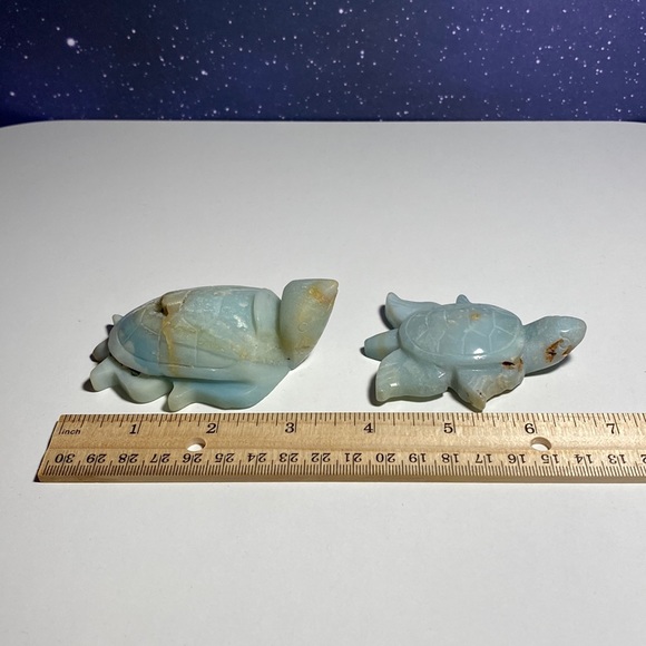 Caribbean Calcite Turtle Set - Picture 3 of 3